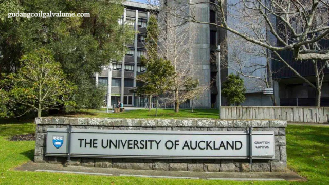 Universitas Terbaik di Negara Selandia Baru